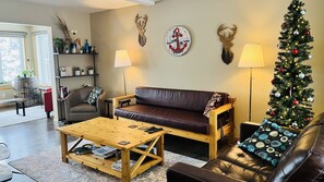 Smart TV, fireplace, video games, Netflix