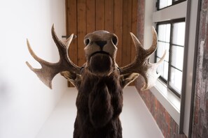 A stuffed animal with antlers in a room with wooden walls and a window.