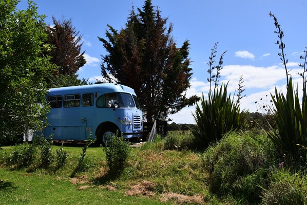 Un autobús antiguo azul estacionado en un área verde con árboles y plantas.