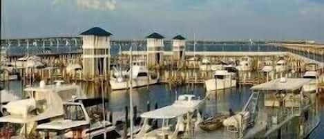 Marina