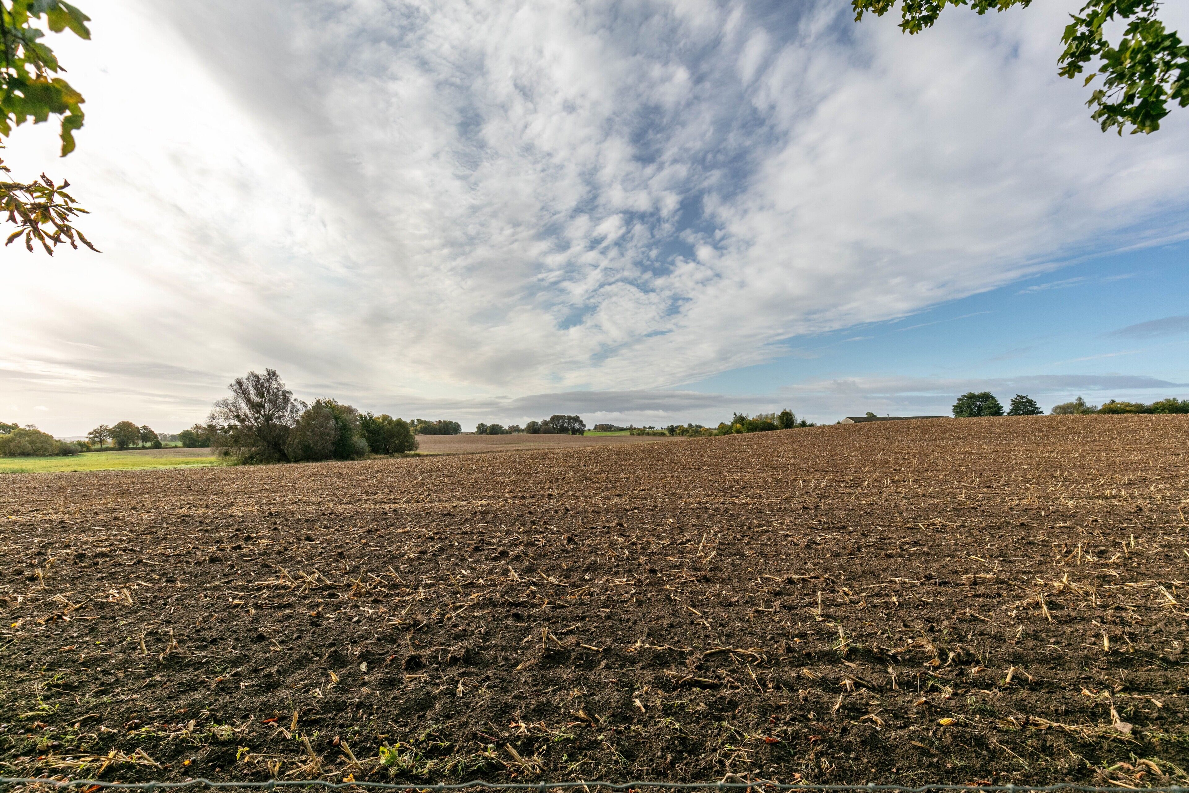 A vast, open field with a clear sky and distant trees.