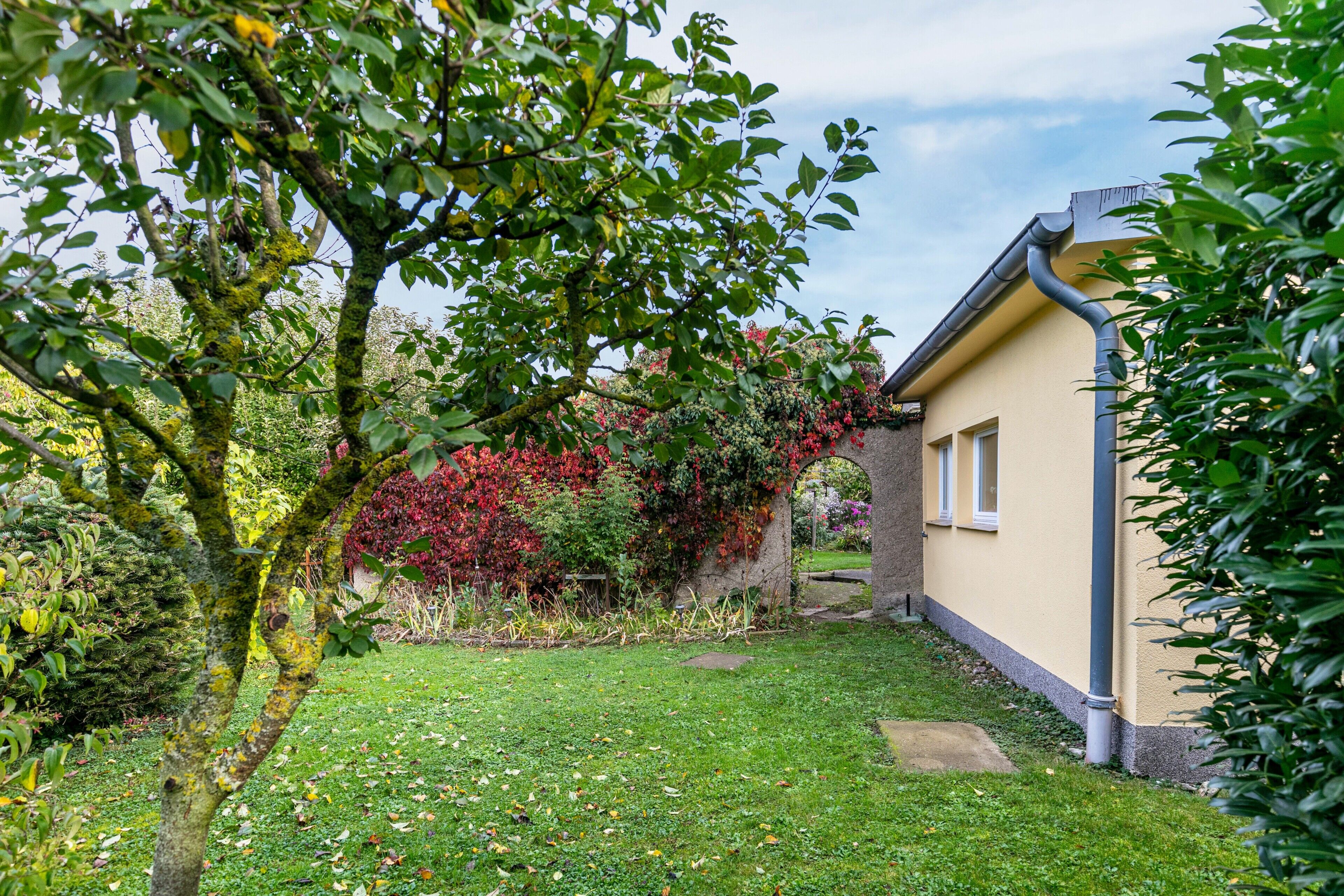 A garden with a house, a tree, and a pathway.