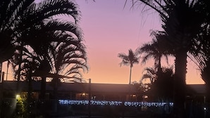 Vista del atardecer con palmeras y un edificio iluminado con luces azules.
