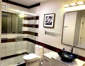 Ensemble douche/baignoire, baignoire à jets, sèche-cheveux, bidet