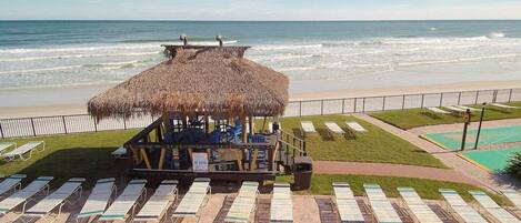 A beachside resort with a thatched-roof hut, sun loungers, and a fenced swimming area.