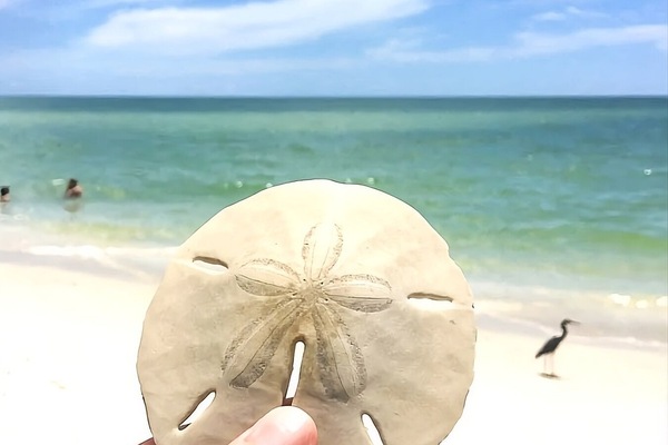 Vlak bij het strand, ligstoelen aan het strand, strandlakens
