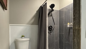 Un baño con ducha, inodoro y una pequeña planta sobre el tanque.