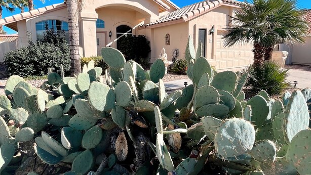 A building with a Mediterranean architectural style, featuring a stucco exterior, arched doorways, and a tiled roof. - ☀️🌵Tropical Desert Oasis. HEATED Pool & Spa no charge. Private, large yard 🌴🏜 (Glendale)