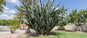 ☀️🌵Tropical Desert Oasis. HEATED Pool & Spa no charge. Private, large yard 🌴🏜