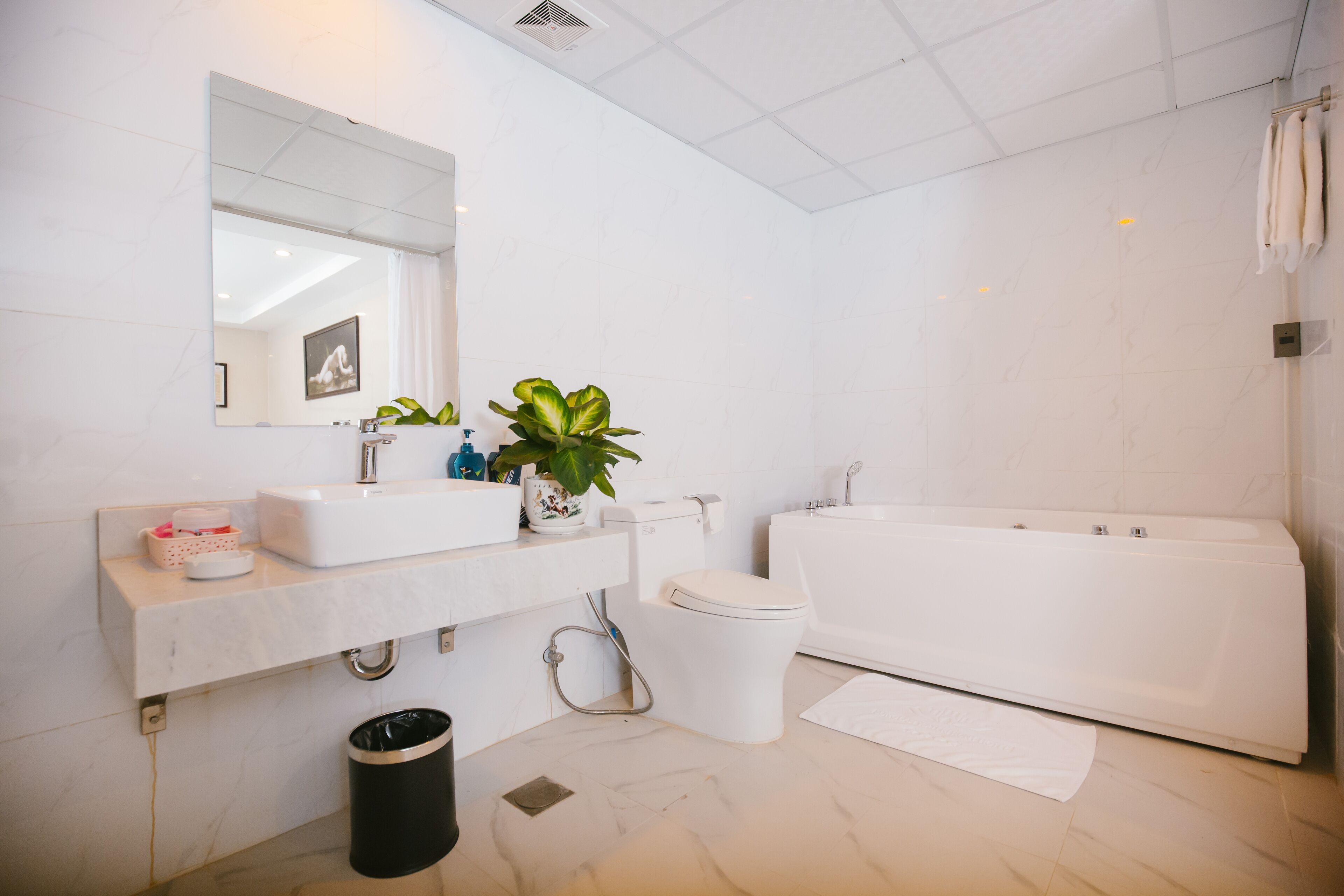 Une salle de bain moderne avec un lavabo, des toilettes et une baignoire, tous de couleur blanche. Un miroir est placé au-dessus du lavabo et une plante décore le comptoir.