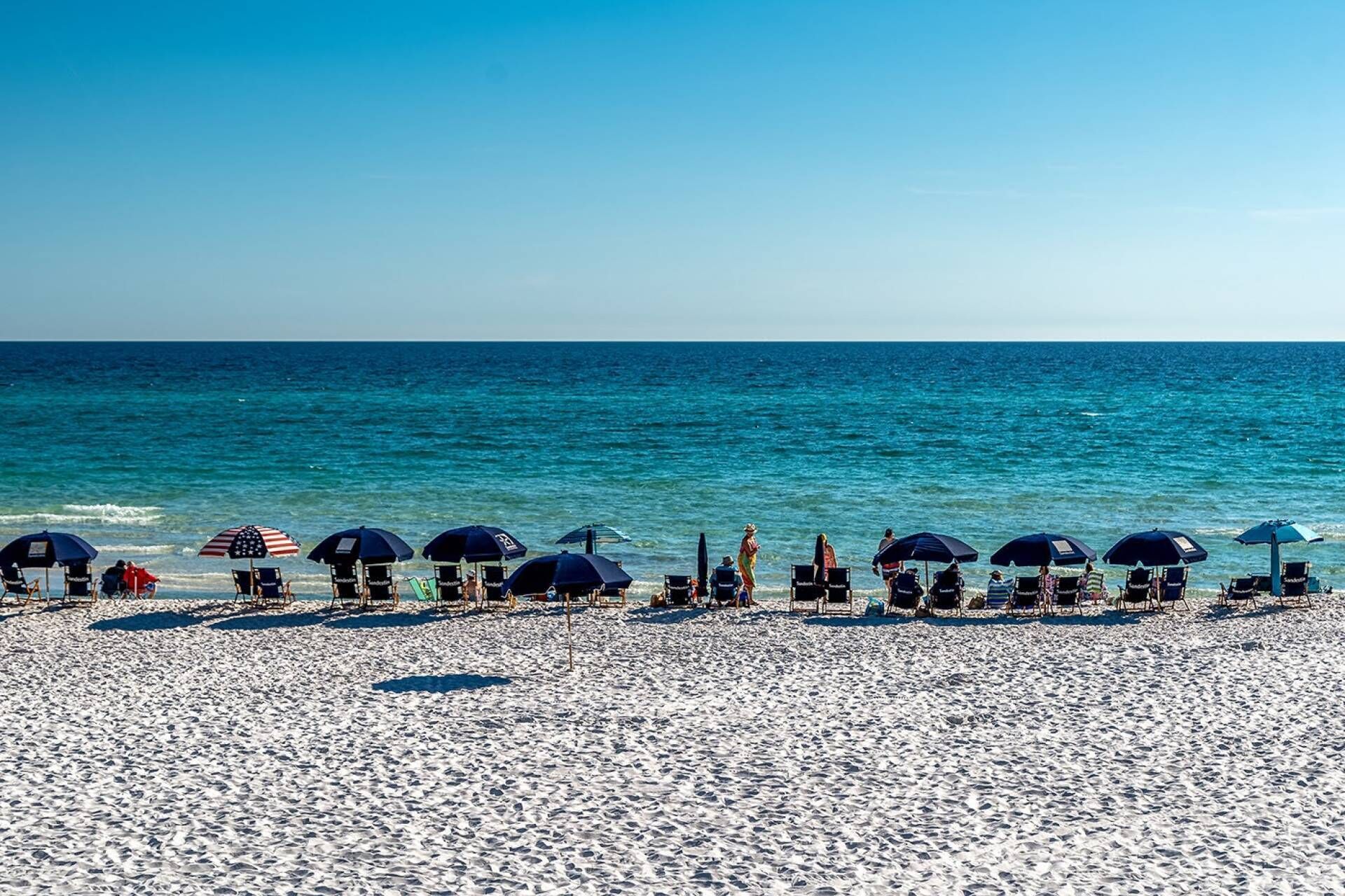 Paseos en botes de motor y pesca 