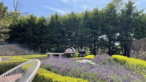 A garden with a barbecue area, a white chair, and neatly trimmed hedges. - Cosy FarmStay@Harmony Cottage on Melbournes' Famous Mornington Peninsula (Tyabb)