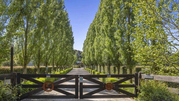 A pathway flanked by tall trees leading to a building. - Cosy FarmStay@Harmony Cottage on Melbournes' Famous Mornington Peninsula (Tyabb)