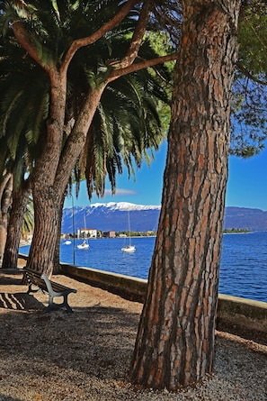 A coastal area with trees, a bench, and boats on the water.