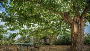 A stone wall, a metal table and chairs, and a large tree with green leaves. - AGRITURISMO LA PAPESSA (Barberino Tavarnelle)