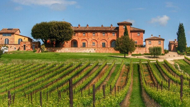A vineyard with rows of grapevines and a large building with arched windows and a brick facade.