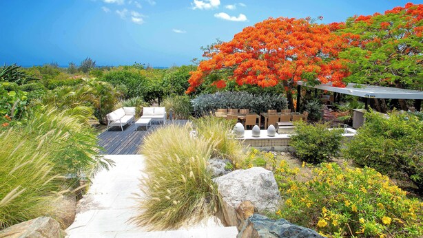 A garden with a pathway, outdoor seating, and a view of the ocean. - Villa Encore | A Grand Caribbean Estate with Panoramic Sea Views (Philipsburg)