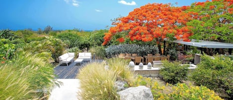 Terassi/patio