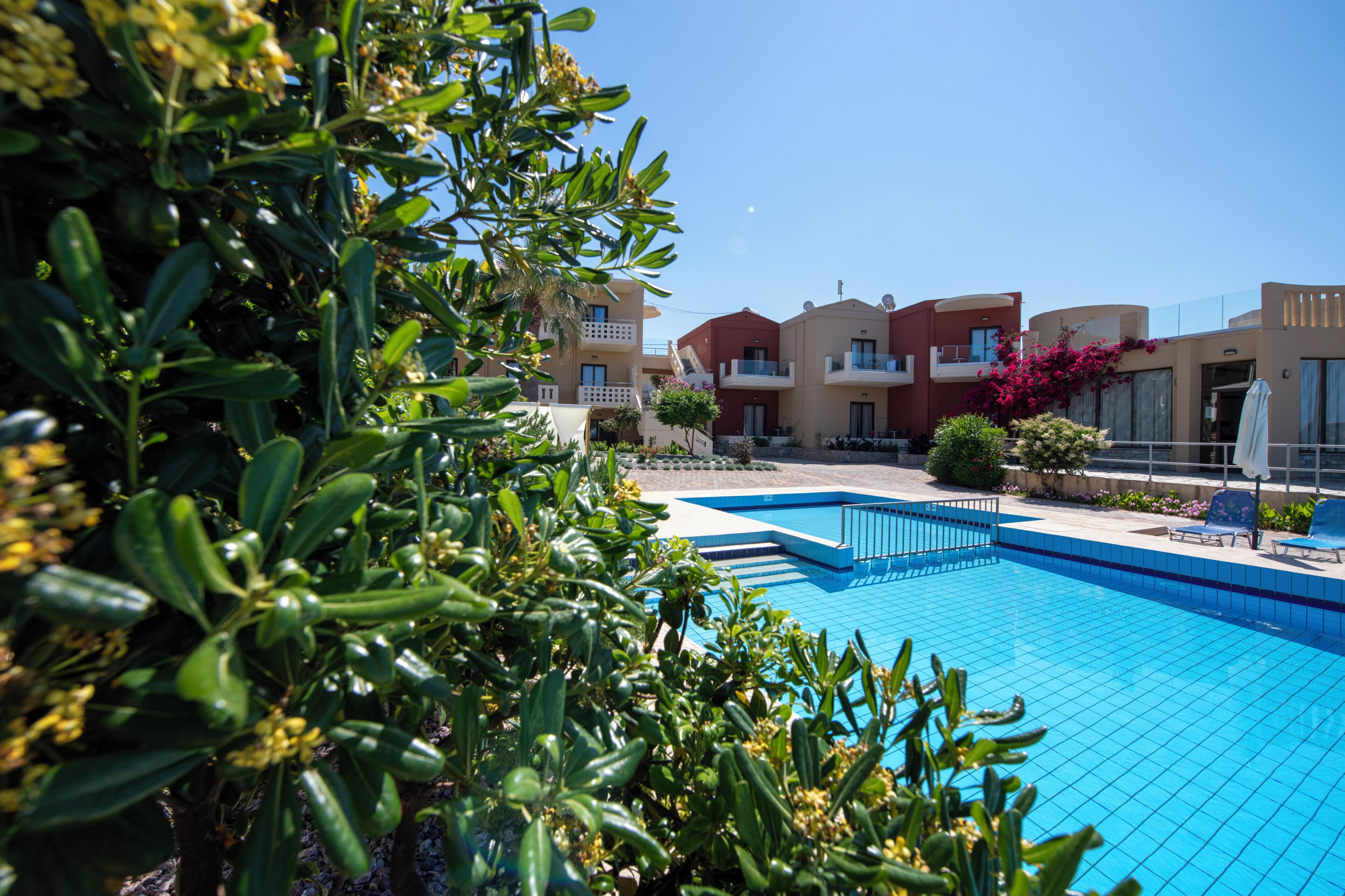 A swimming pool with a blue tiled deck, surrounded by greenery and buildings with balconies.
