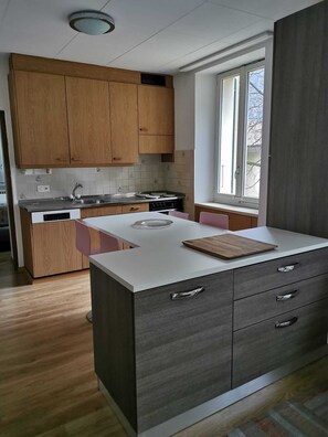 Refrigerador, horno, lavavajillas, artículos de limpieza