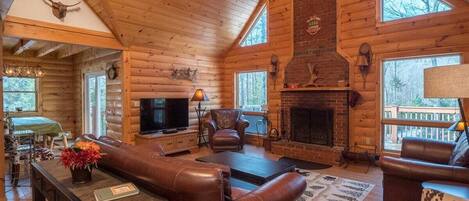 TV, fireplace, video games, DVD player