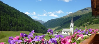 -Mountain view vacation apartment in a dreamlike location in the middle of untouched nature