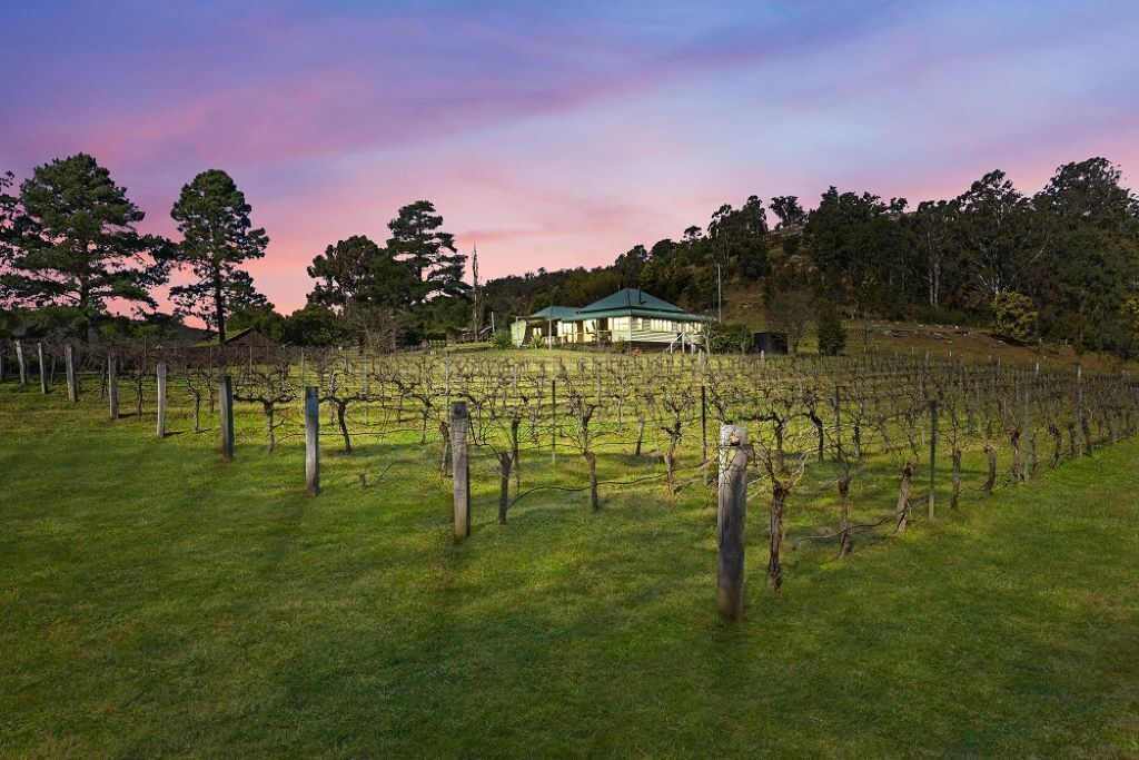 'Old Byora Vineyard' | Luxury Homestead | Sleeps 10 | 5 mins from Wollombi  — image 11