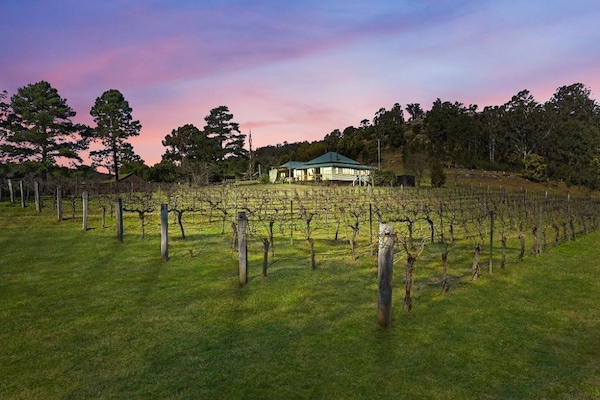 The Verdehello vineyard is in your front yard