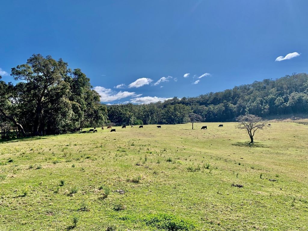 'Old Byora Vineyard' | Luxury Homestead | Sleeps 10 | 5 mins from Wollombi  — image 12