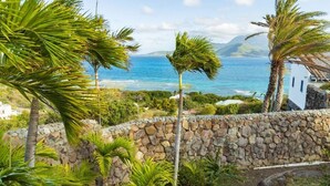 A coastal view with palm trees, a stone wall, and a clear blue sea.