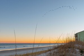 En la playa y camastros