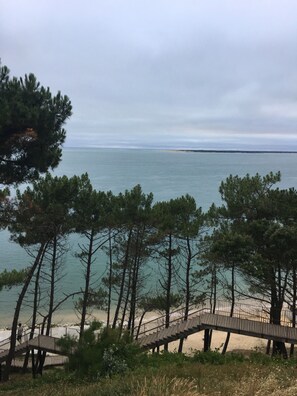 Beach/ocean view