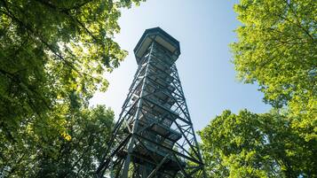 Una alta torre metálica con una plataforma de observación hexagonal, rodeada de abundante vegetación verde.