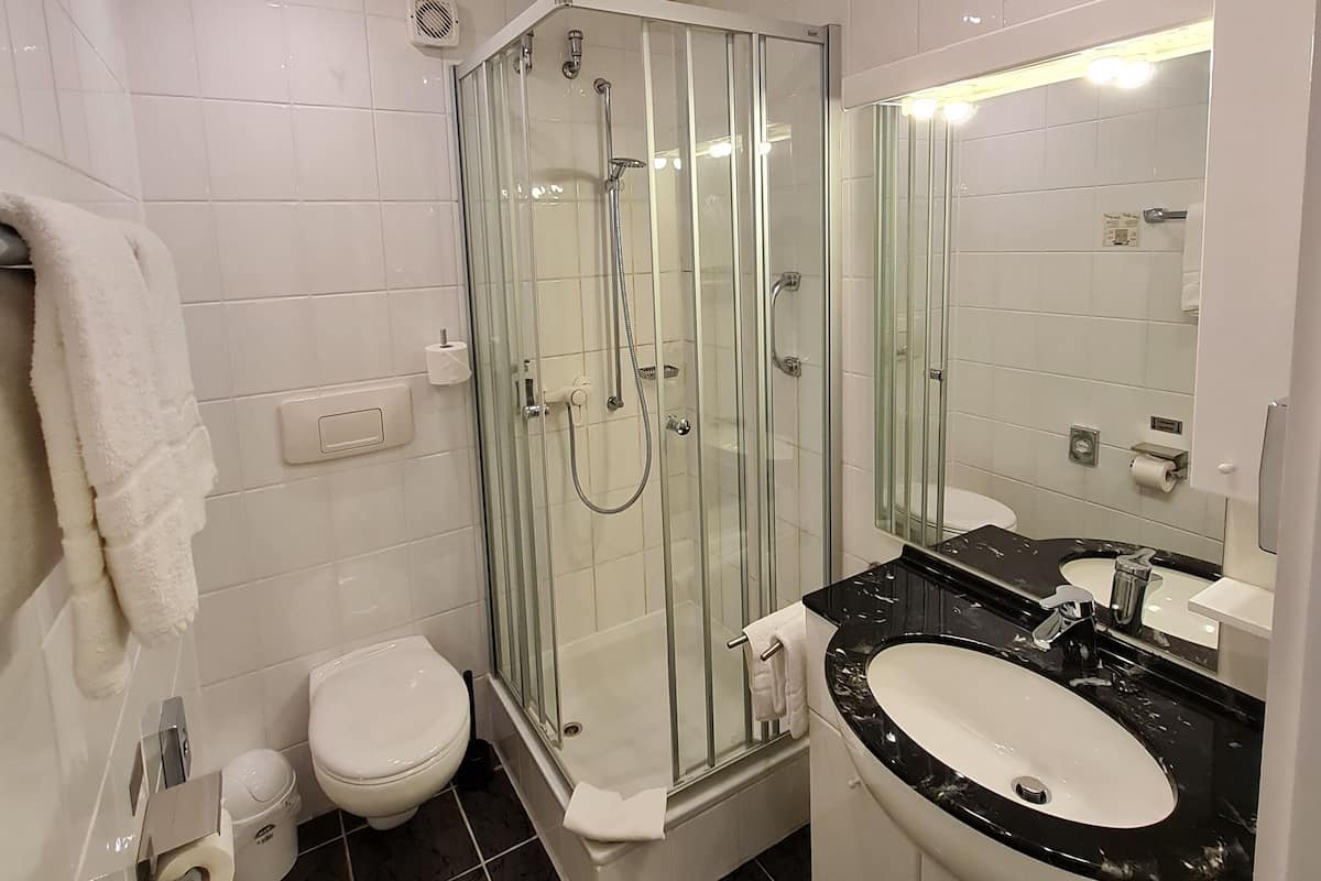 A modern bathroom with a glass-enclosed shower, a white toilet, a black marble sink, and a large mirror.