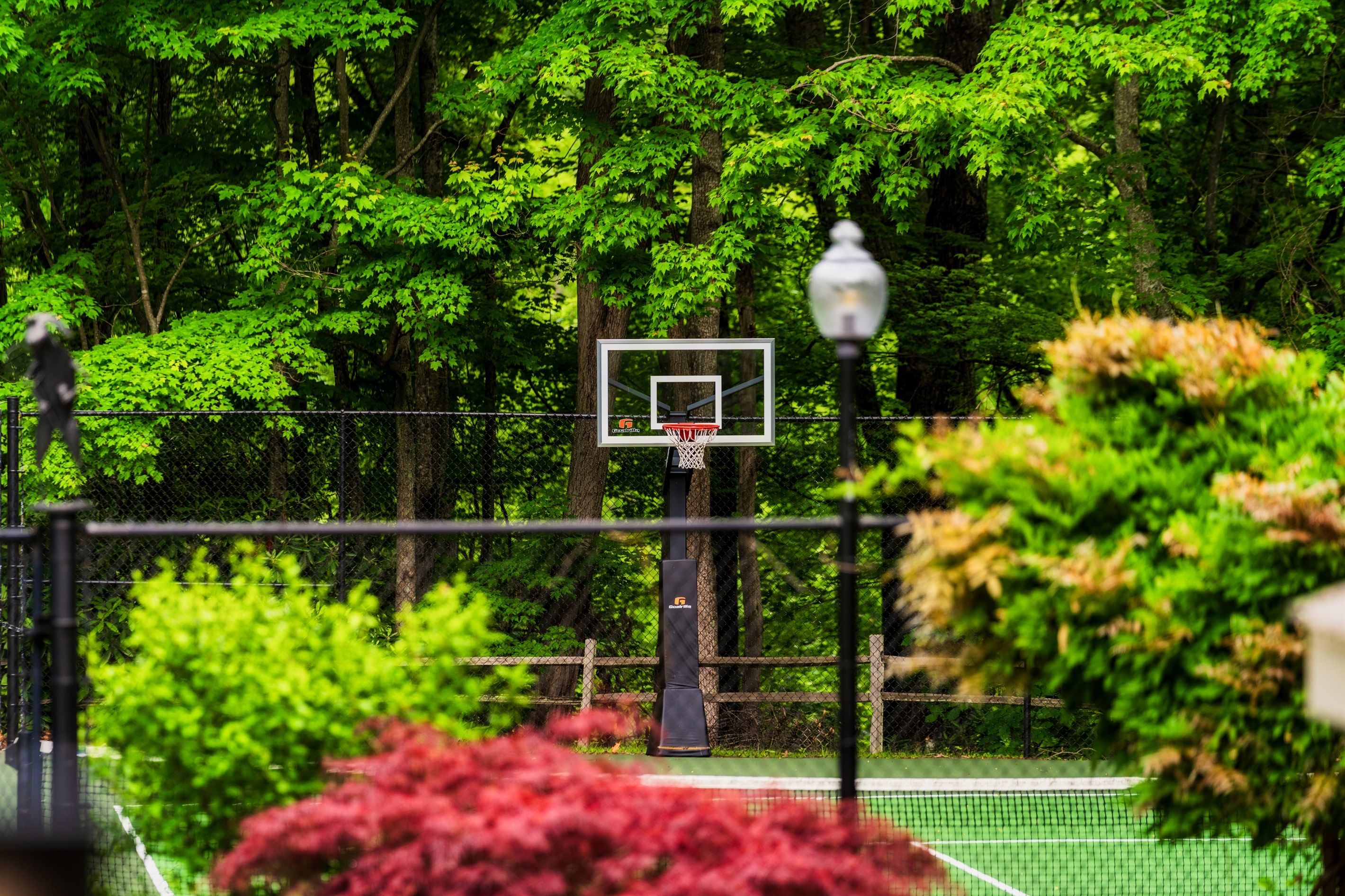 A basketball court surrounded by dense green foliage.