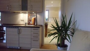 A compact kitchen with white cabinets, a sink, and a potted plant. - Dream vacation apartment in an elevated position with unobstructed views (Lenggries)