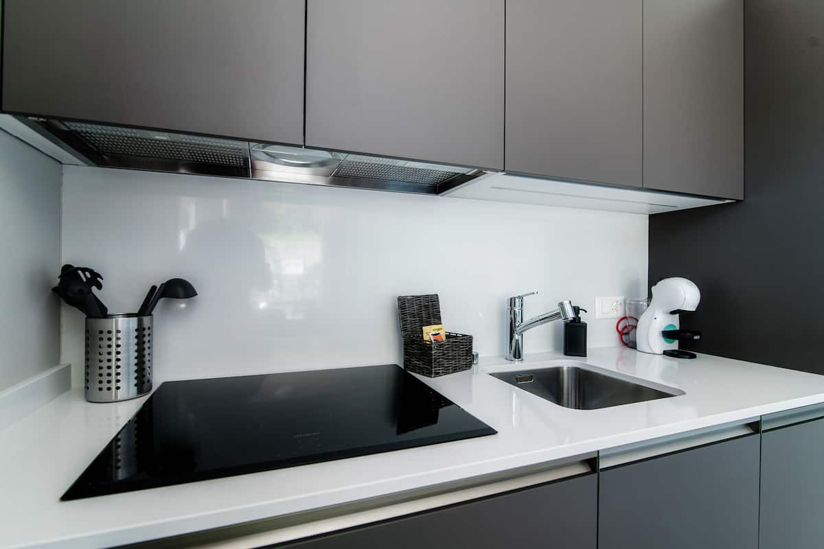 Une cuisine moderne dotée d’une plaque de cuisson à induction noire, d’un évier en acier inoxydable et d’un lave-vaisselle compact.