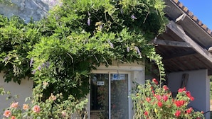 En byggnadsentré med en glasdörr, omgiven av frodig grönska och blommande växter.