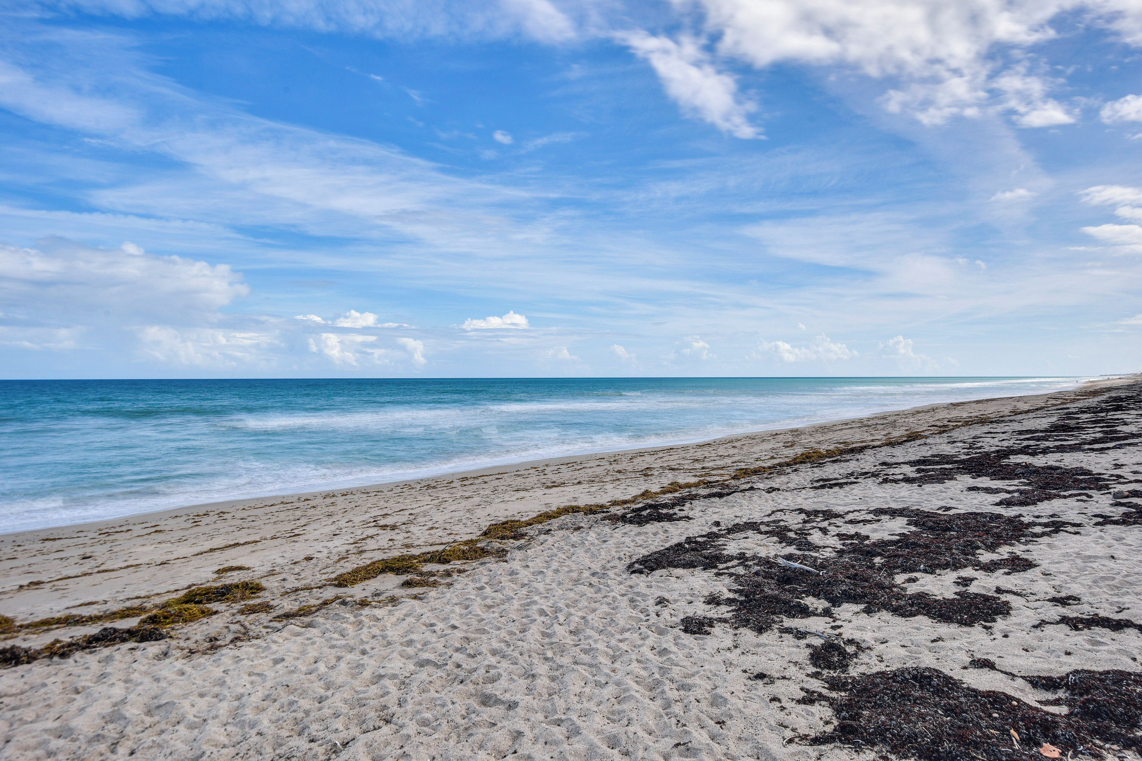 Una playa arenosa con algas marinas y un cielo azul despejado.