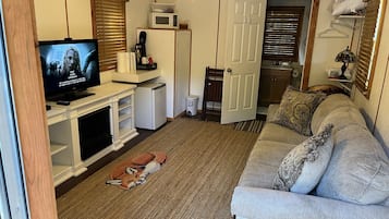 智能電視、DVD 播放機