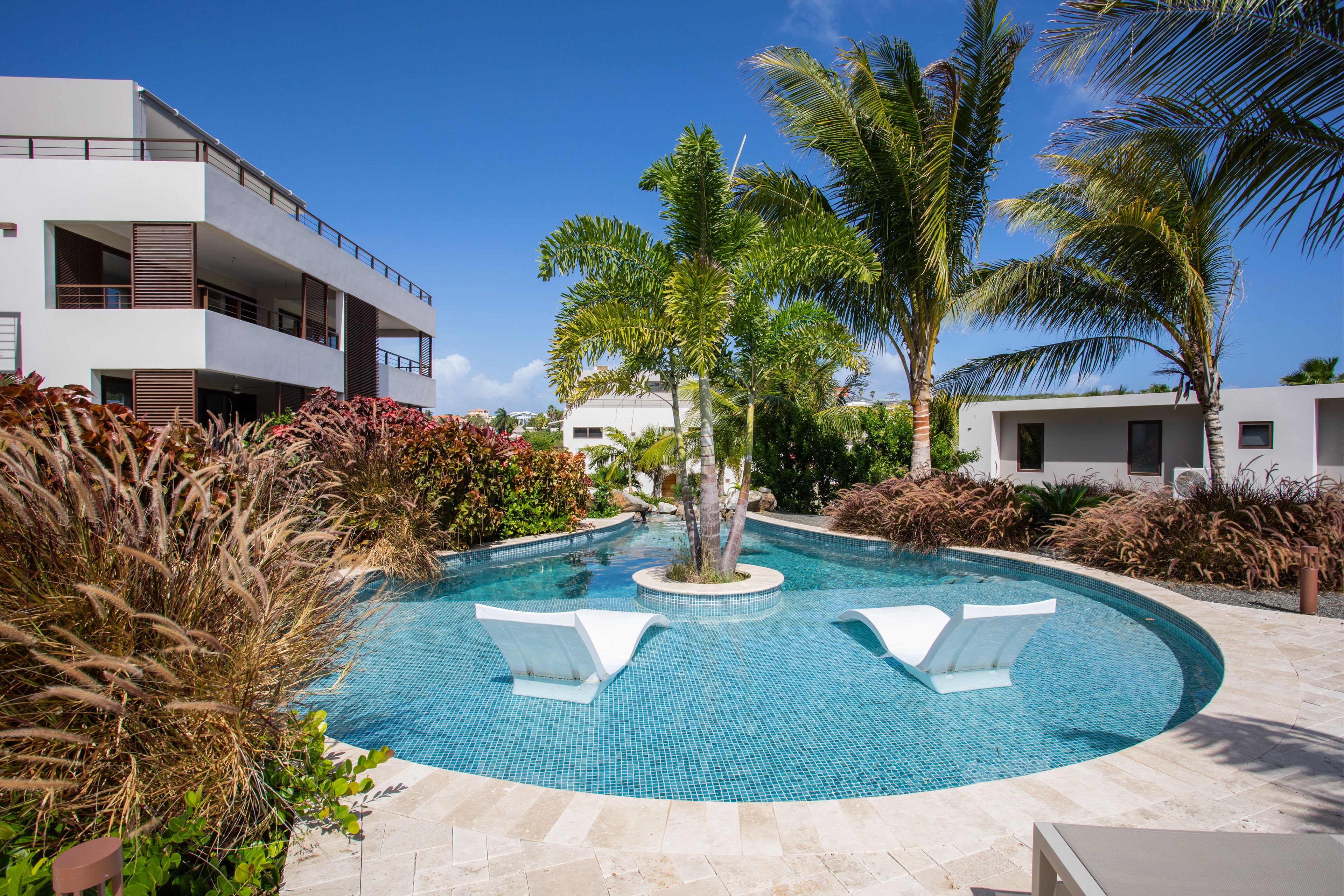 A modern pool area with a circular design, surrounded by palm trees and tropical plants.