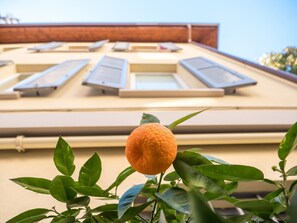 Fassade der Unterkunft