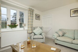 Smart TV, fireplace, DVD player, books