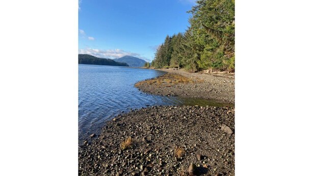 A rocky shoreline with a calm lake, surrounded by dense forest and distant mountains. - Ocean Front wilderness Cabin, brand new - Spa bathroom, fully equipped Kitchen (Quatsino)