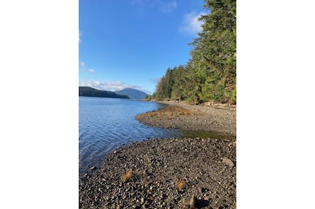 On the beach, sun-loungers. Ocean Front wilderness Cabin, brand new - Spa bathroom, fully equipped Kitchen