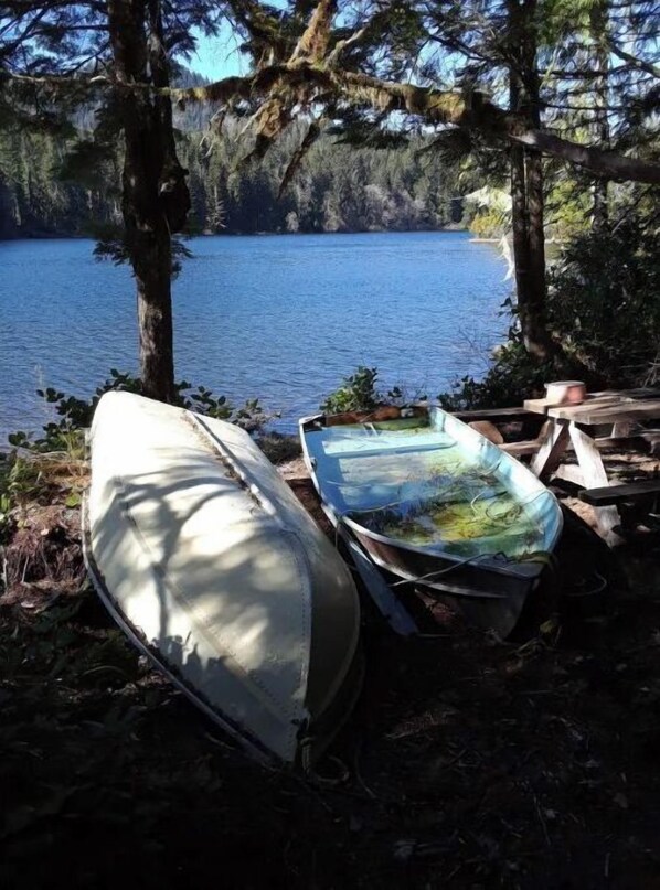 Enjoy serene lakeside views and access to kayaks and canoes for a peaceful retreat.