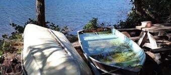 Ocean Front wilderness Cabin, brand new - Spa bathroom, fully equipped Kitchen