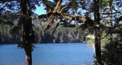 Ocean Front wilderness Cabin, brand new - Spa bathroom, fully equipped Kitchen