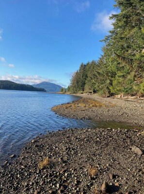 A rocky shoreline with a calm lake, surrounded by dense forest and distant mountains. - Ocean Front wilderness Cabin, brand new - Spa bathroom, fully equipped Kitchen (Quatsino)