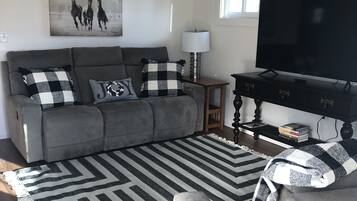 Smart TV, fireplace, books